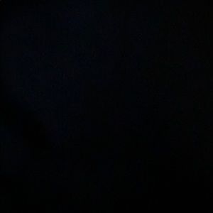 Meet your Posher, Lanie